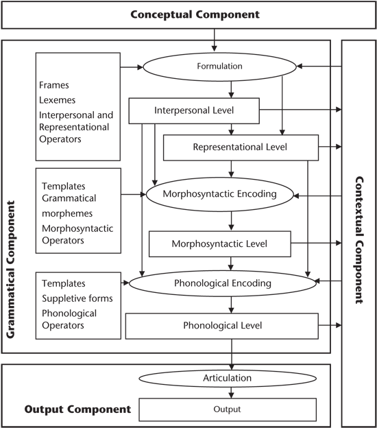 FDG Model